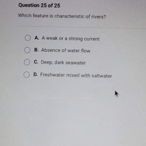 Which feature is characteristic of rivers?