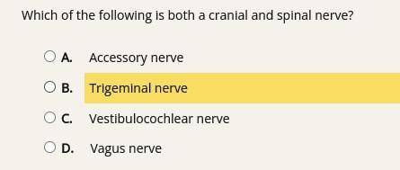 Which of the following is both a cranial and spinal nerve?