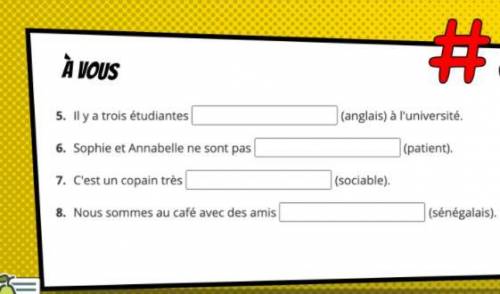 Complete the sentence with the correct adjectives (A Vous