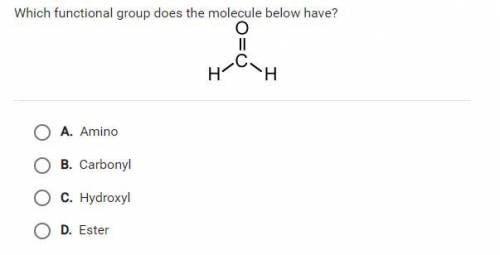 Which functional group does the molecule below have?