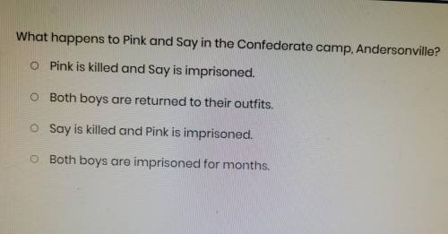 What happens to Pink and Say in the Confederate camp, Andersonville?

A Pink is killed and Say is
