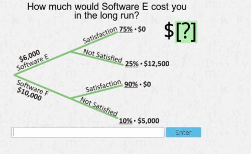 How much would software E cost you in the long run? HELP