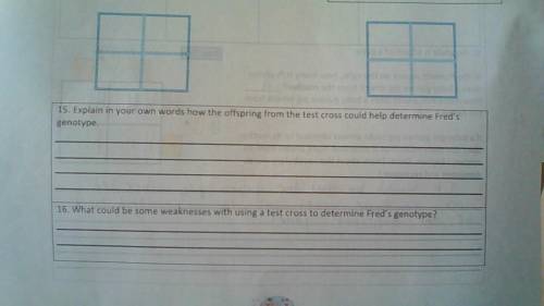 Can somebody help me with this worksheet please!?