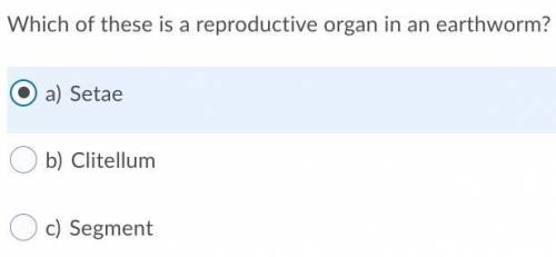Which of these is a reproductive organ in an earthworm?
