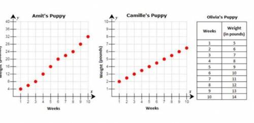 Can anyone please find the equation of Camille?