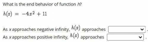 What is the end behavior of function h?