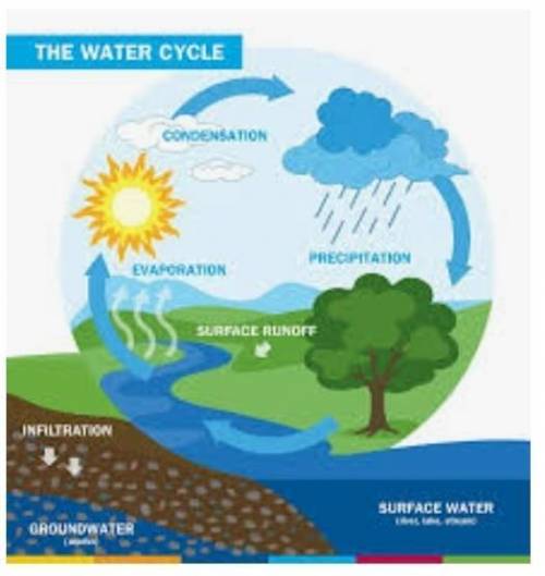 What is water cycle ??