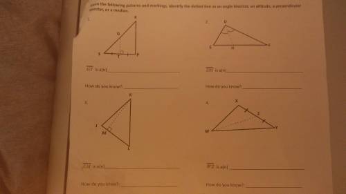 Identify the dotted lines as an angle bisector, perpendicular bisector, or a median