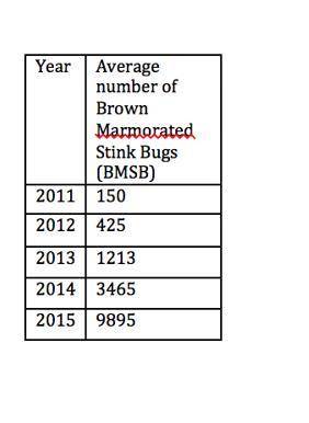 Please answer ASAP

The data table at the right shows the number of Brown Marmorated Stink Bugs th