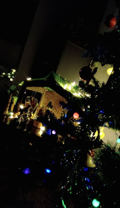 Who was St. Francis???X mas preparations :D