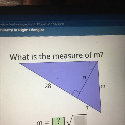 What is the measure of m?

n
28
m
7
m
m = [?] V
I seriously need help no joking around plz help I’