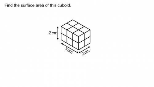 Find the area of the cuboid.