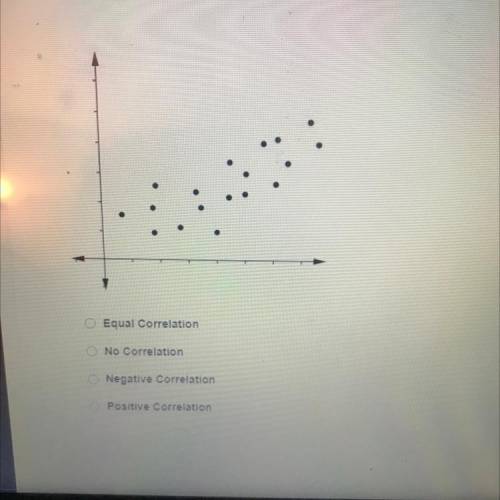 Which type of correlation does this scatterplot show?