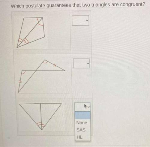 Which postulate guarentees that two triangles are congruent?

I will give brainliest to BEST answ