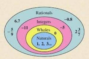 TRUE OR FALSE

There are whole numbers that are not integers.
All rational numbers are whole number
