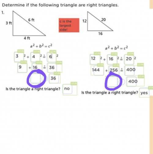 What do i do for the 2 boxes circled in purple? help!