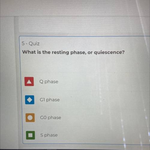 What is the resting phase.