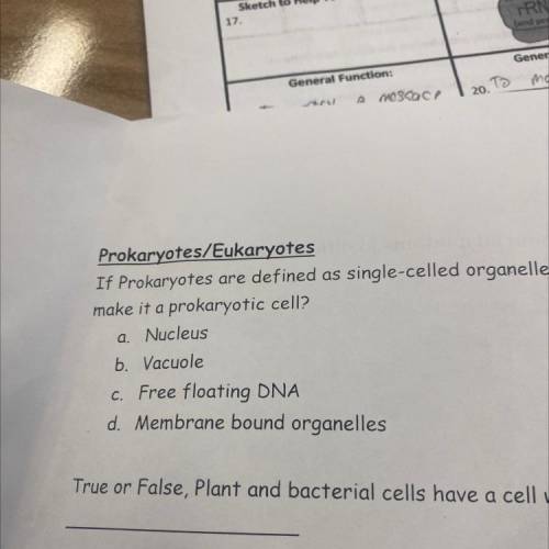if prokaryotes are defined as single-celled organelles, which of the following would ONLY make it a