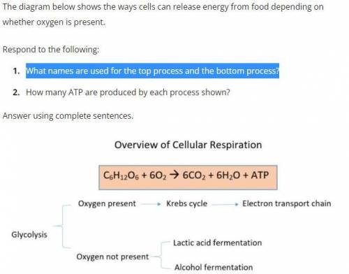 What names are used for the top process and the bottom process?

How many ATP are produced by each