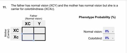 The father has normal vision (XCY) and the mother has normal vision but she is a carrier for colorb