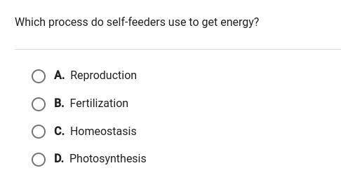 Which process do self-feeders use to get energy?