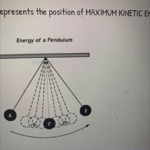 What letter from the diagram shows the maximum amount of kinetic energy