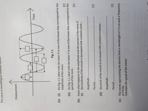 Can anybody please help me with this question ?