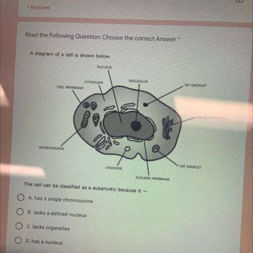 A diagram of a cell is shown below…
The cell can be classified as a eukaryotic because it-