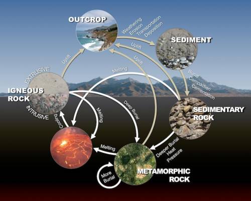 8. What types of rock are formed by

processes powered by the Sun's energy?
a) igneous
b) sedimenta