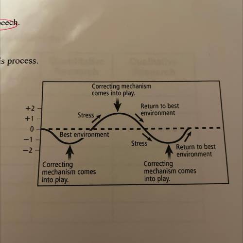 Name the process that the graph represents describe the process