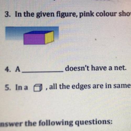 Question 4 a what doesn’t have a net