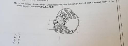 In the picture of a cell below, which label indicates the part of the cell that contains most of th