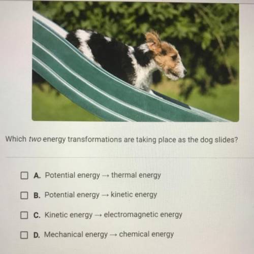 Which two energy transformations are taking place as the dog slides