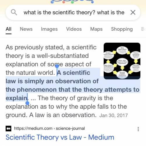 What is the scientific theory? what is the scientific law?