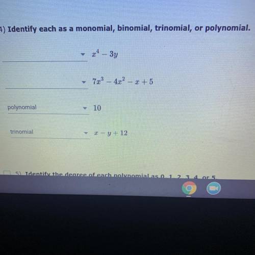 Does anyone know the first two answer??