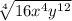 \sqrt[4]{16 {x}^{4}  {y}^{12} }