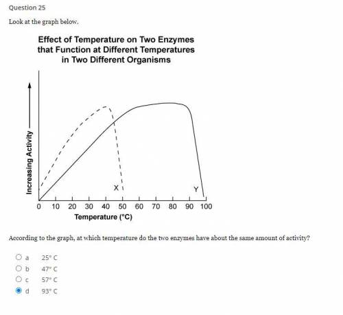 PLEASE HELP I LUV YALL 100 POINTS

According to the graph, at which temperature do the two enzymes
