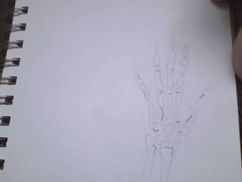 Some Of My Newest Hand Drawings...
How Do They Look?