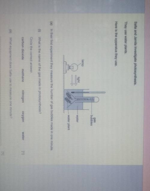 Pls help me answer this it's due today
