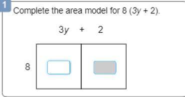 Complete the area model for 8(3y+2)