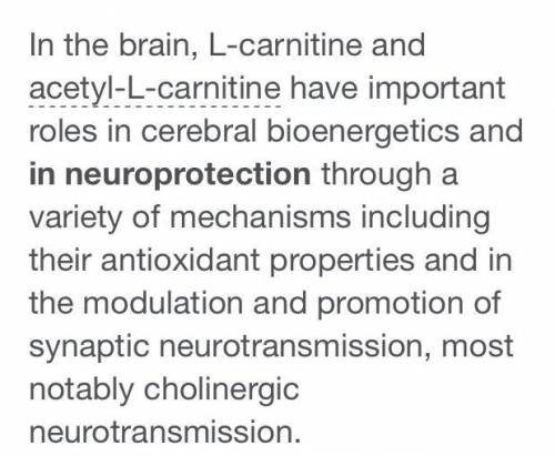 What is the physiological role of l-carnitine?