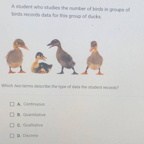 A student who studies the number of birds in groups of

birds records data for this group of ducks