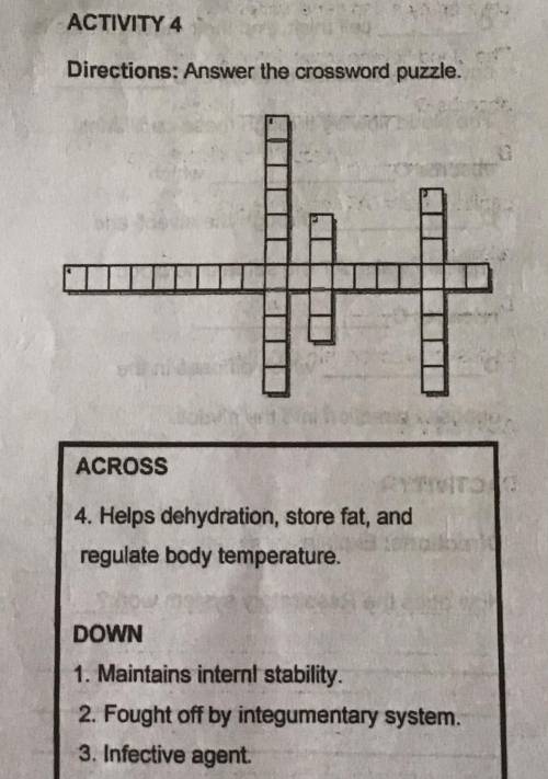 ACTIVITY 4

Directions: Answer the crossword puzzle
Please answer this I really need this please