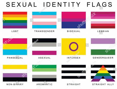 Can somone give me all the lgbtq flags and main ones