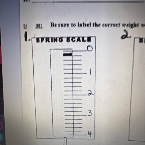 This is a spring scale I don’t understand it because when my class went over it,last week, I didn’t