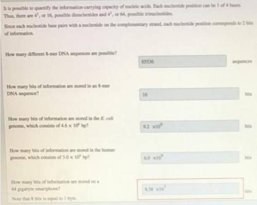 Help me answering these questions please
