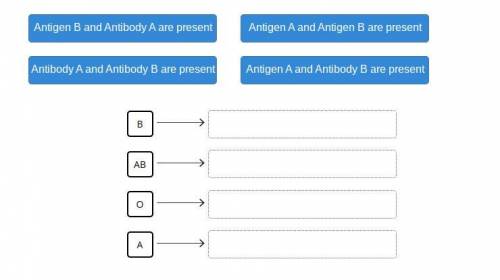 Drag the tiles to the boxes to form correct pairs.

Which antibody and antigen combination match e