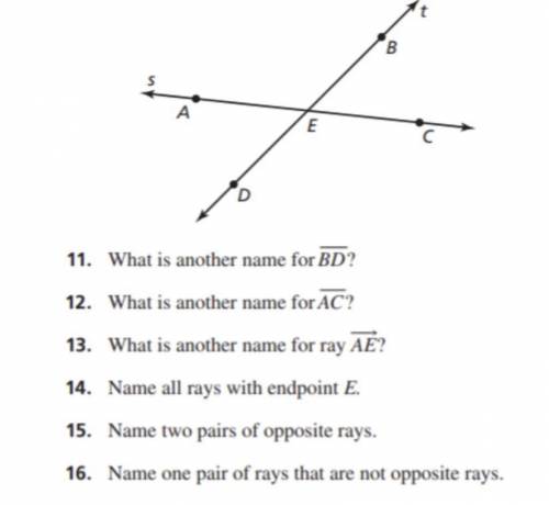 Pls help me solve these questions