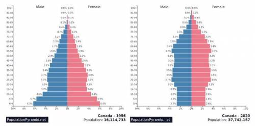 Examine the following population pyramids below. Identify the type of population growth seen for ea
