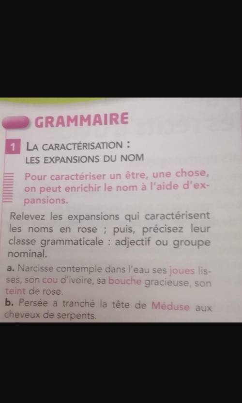 Hi guys pls help with French